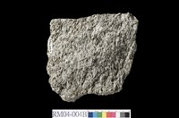 藏品(片麻岩)的圖片